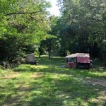 Caravane pliante à l'ombre des arbres